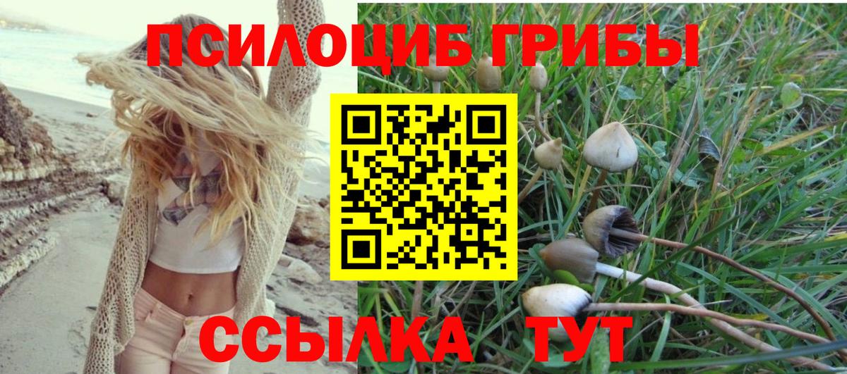 Псилоцибиновые грибы Magic Shrooms  Вход с VPN  Уссурийск 